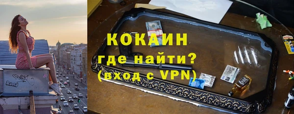 apvp Алзамай